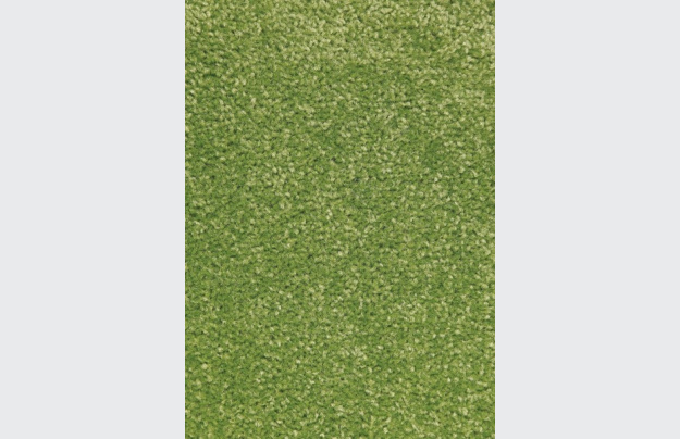Kusový koberec Nasty 101149 Grün