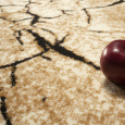 Kusový koberec Superwood brown
